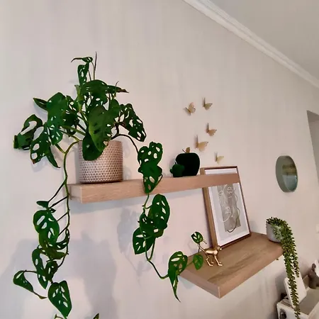 Διαμέρισμα Tzitzifianaki Cozy Χανιά